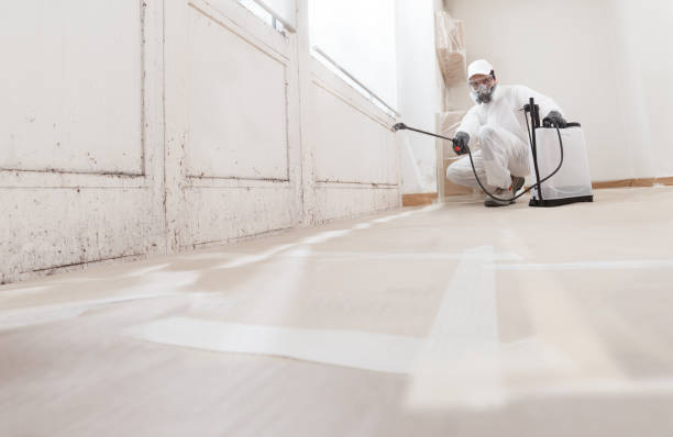24/7 Emergency Black Mold Removal experts in Plainsboro, NJ
