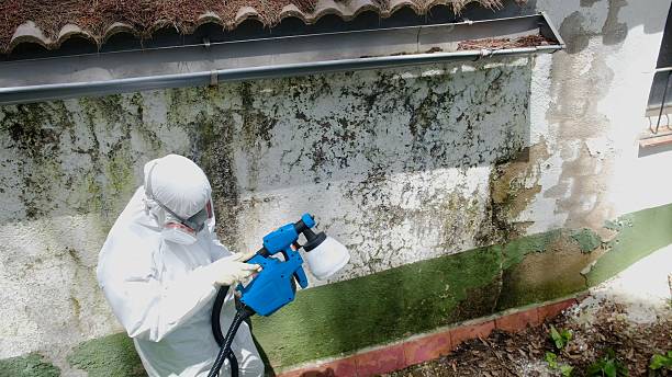 Trusted Crawl Space Mold Removal service in Plainsboro, NJ - Cheap Mold Removal